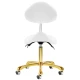 Taboret kosmetyczny 1004 z profilowanym siedziskiem i oparciem (biało-złoty) Taboret kosmetyczny 1004 z profilowanym siedziskiem i oparciem (biało-złoty)