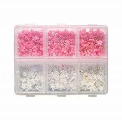Ozdoby do dekoracji paznokci Daisy Flowers & Caviar Beads