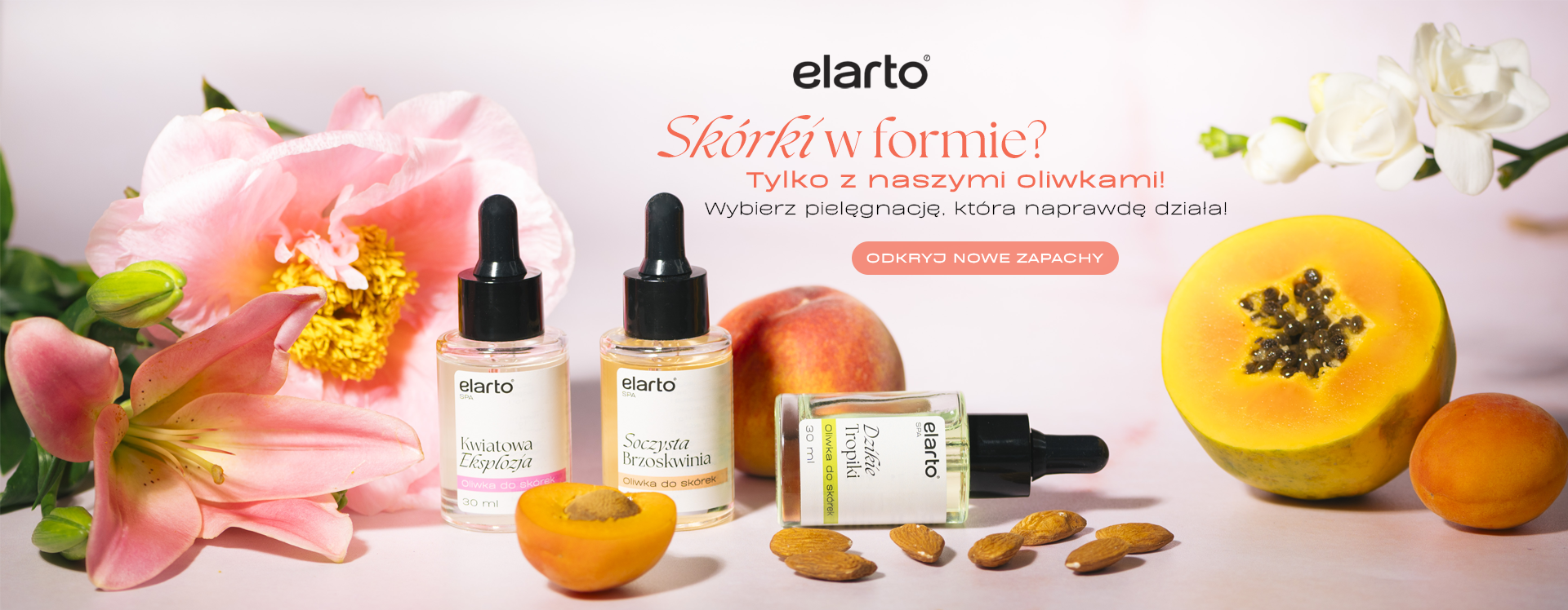 nowe oliwki elarto SPA